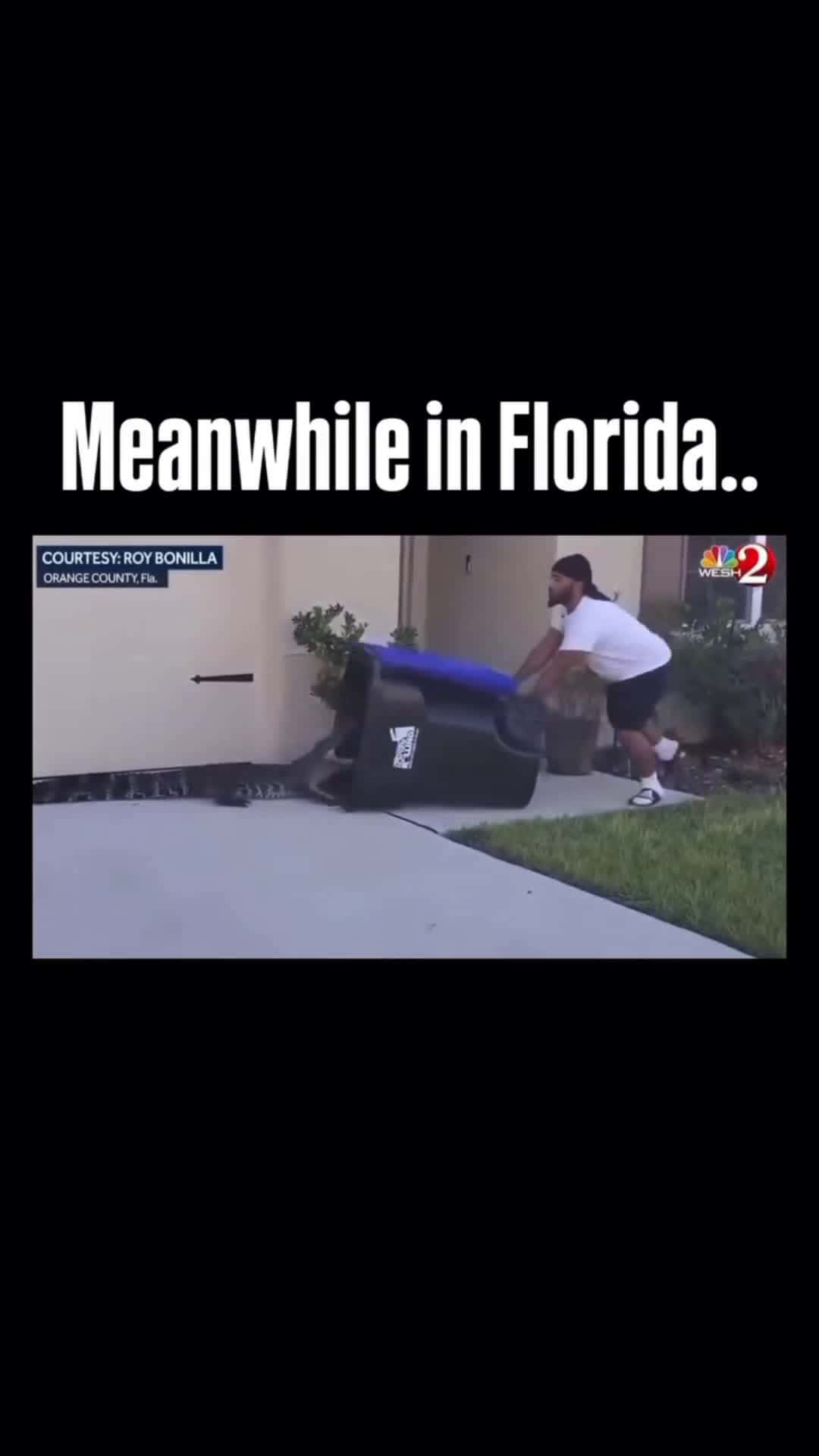 Cover for The fact that that WORKED is incredible..i  would be so scared