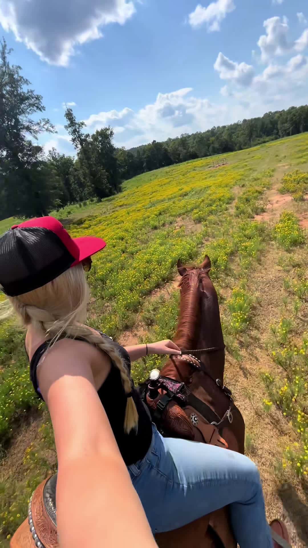Cover for #fyp #foryou #forupage #equestrian #western #barrelracer #barrelhorse 