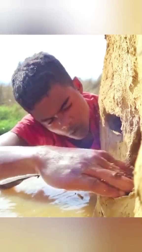 Cover for Amazing fishing foryou fishing fish ase northsae sae amaziningfishing longervideos viralvi 14465 #shortvideos