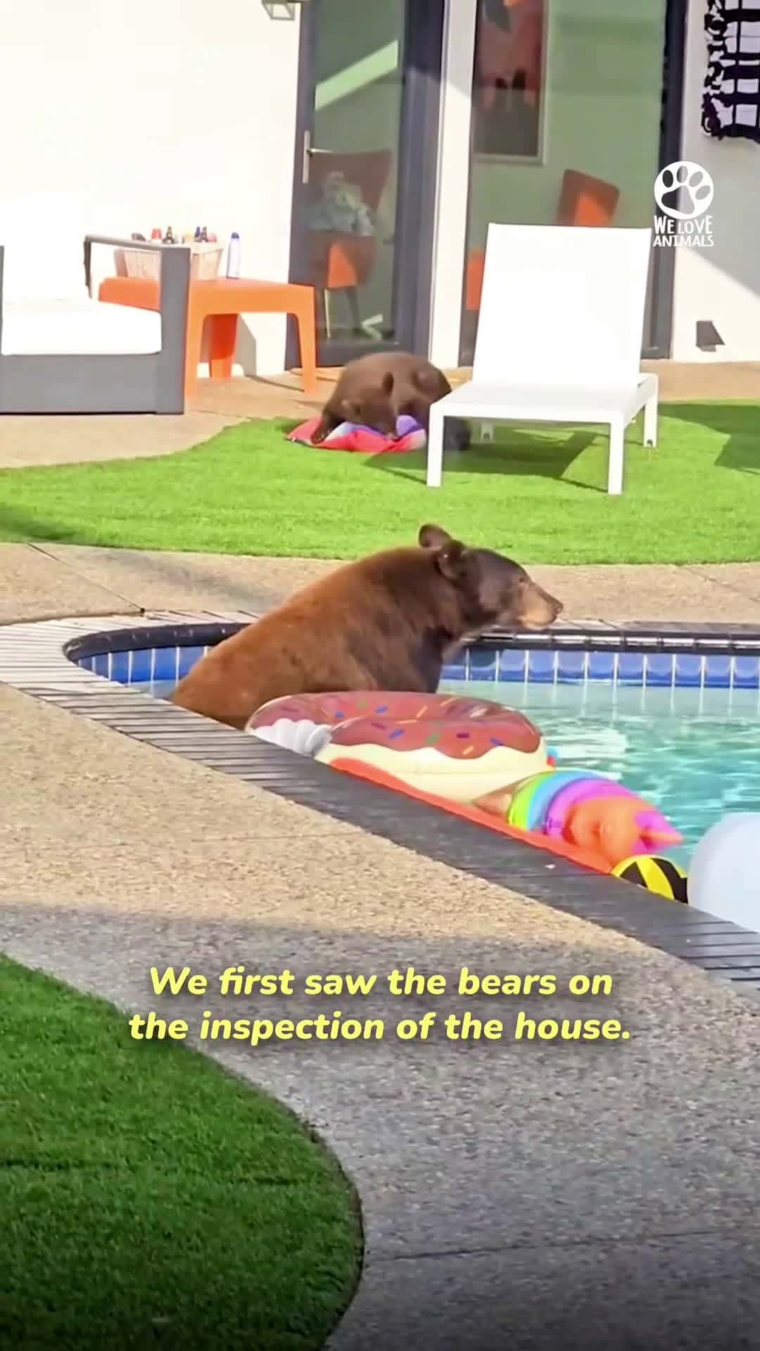 Cover for Bear family came with their new house 😅🐻 