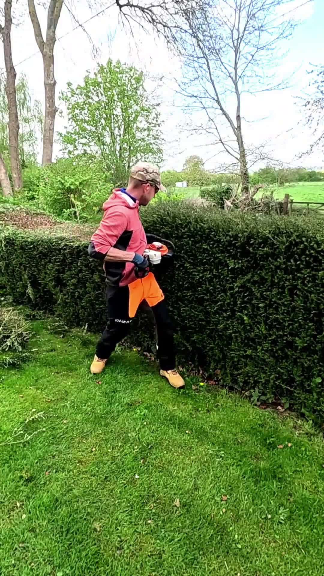 Cover for Slicing through this hedge renovation 😅.#hedge #hedgetrimming #hedgetrimmer #stihl #landscaper #landscaping #garden #gardening #gardener #lawncare #satisfying #rjlgardens