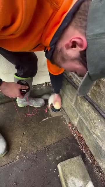 Cover for Surprising videos have become a sensation online, captivating viewers with unexpected twists and heartwarming moments.  #SurpriseVideos #ViralMoments #UnexpectedTwists #FeelGoodContent #MustSee.