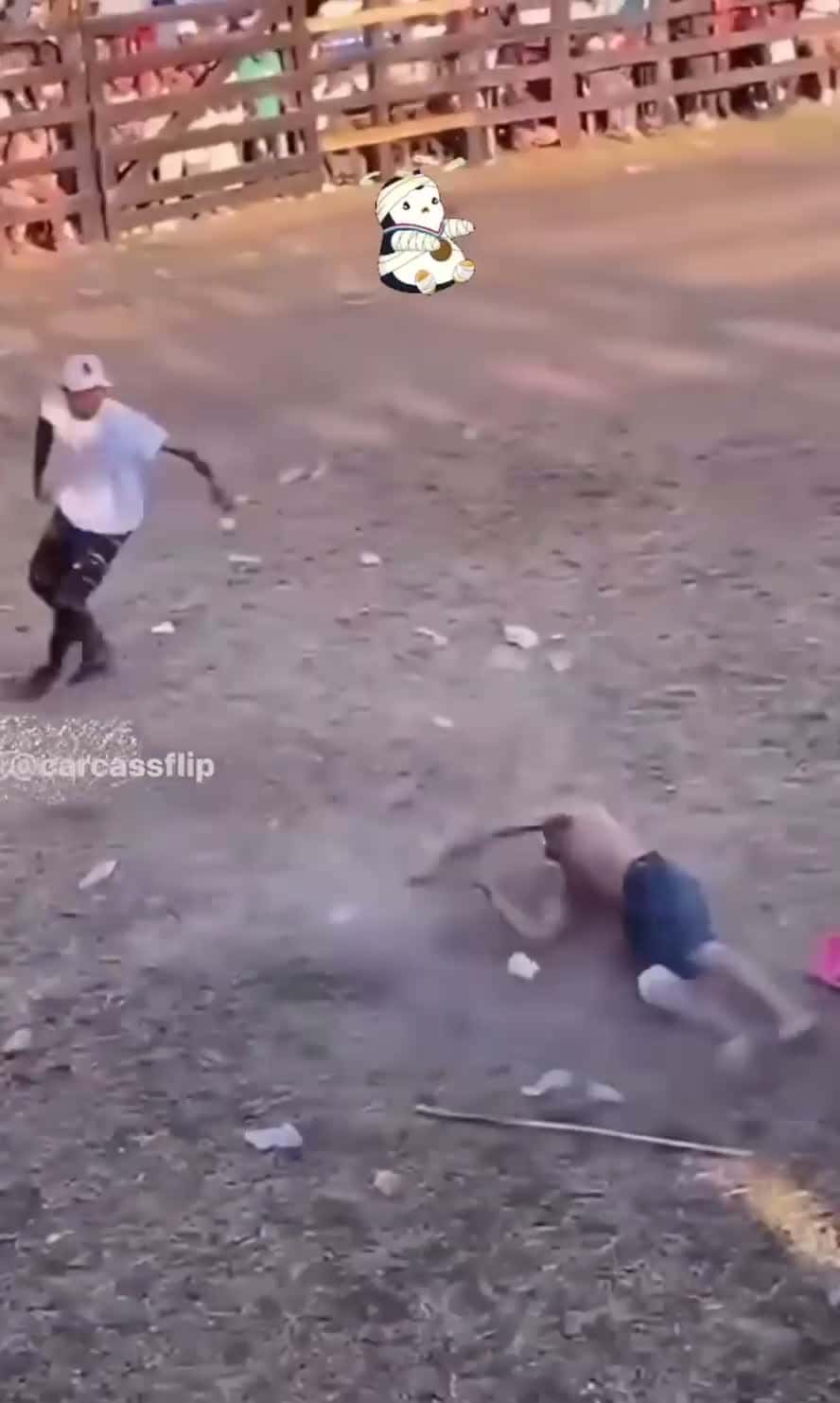 Cover for #fyp  #fypシ  #fypage  #foryou  #foryoupage  #viral  #bull  #funny  #hilarious  #viralvideo  #funnyvideos