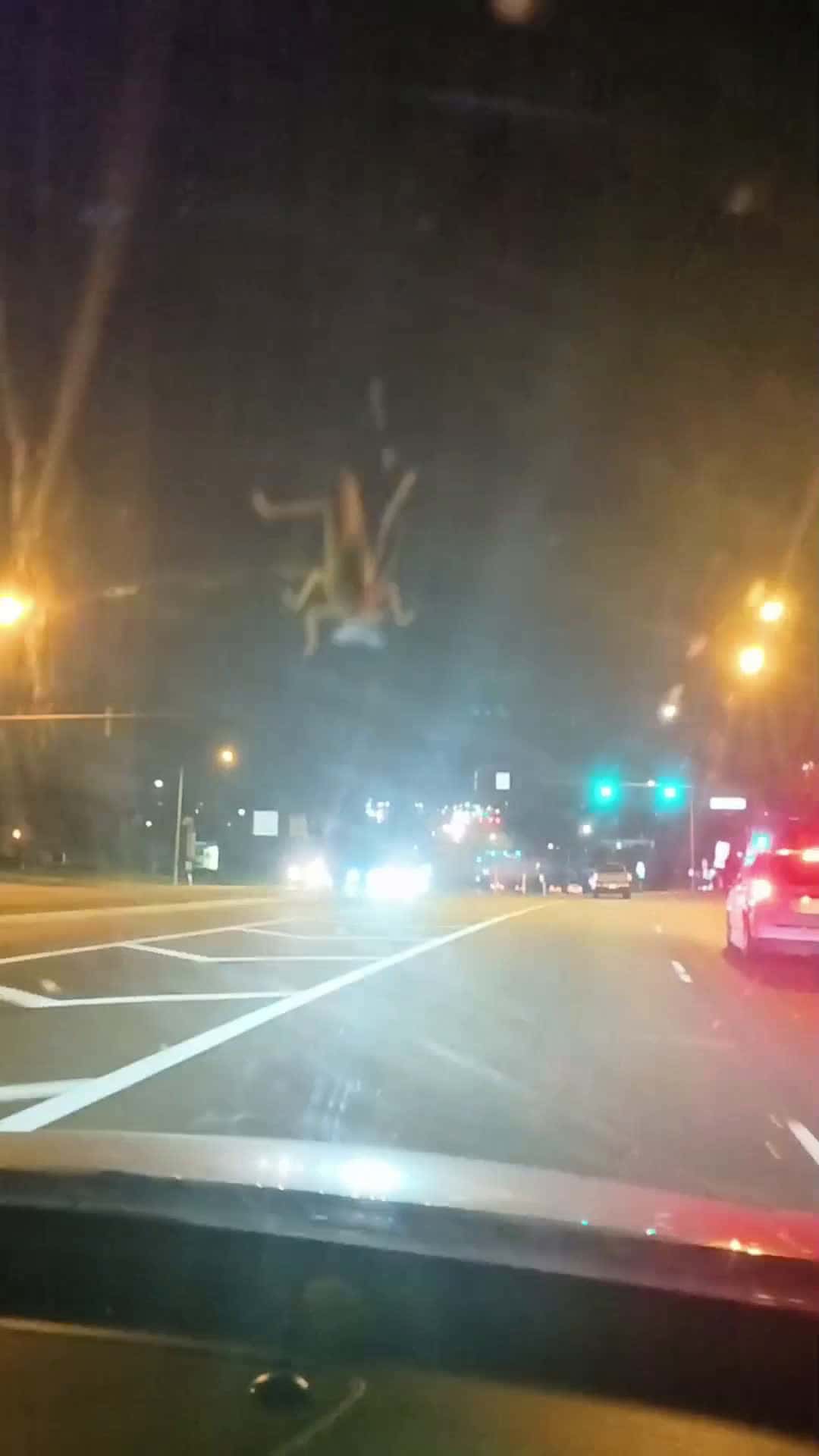 Cover for Little guy was a long for the ride #bug #cars #insect 