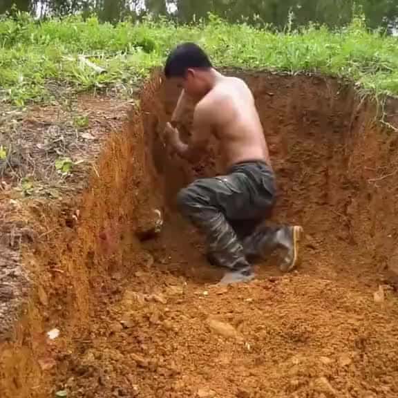 Cover for Wilderness Building Shelter Wilderness Building Wilderness Survival Wilderness Building Wi 48235 #trending