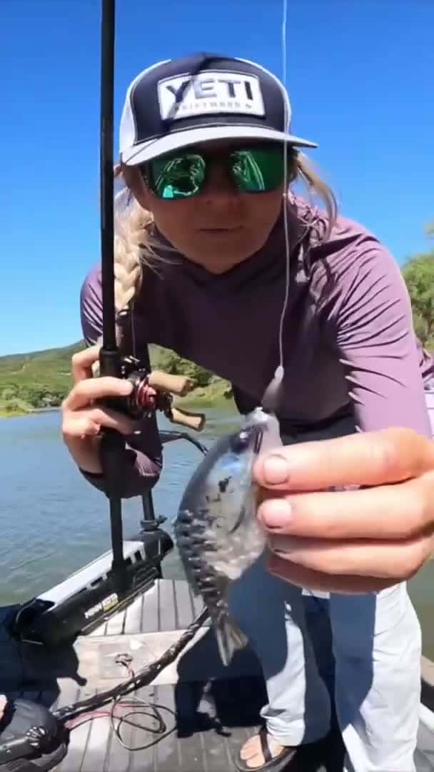 Cover for Who has fished this bait ?! 👀 #fishing #fish #fyp #fypシ゚viral #foryou #viral #viralvideo 