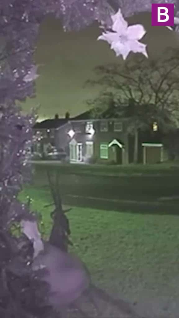 Cover for This is the moment a heartless thief ripped a decorative reindeer from their spot on a Bir 52928 #us