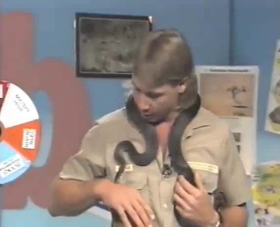 Cover for #CaughtOnCamera Steve Irwin casually reacts to being bitten by a snake live on Australian TV in 1991.