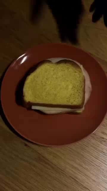 Cover for Bro Said “Just One Bite” 🥴🥪 #horror #fun