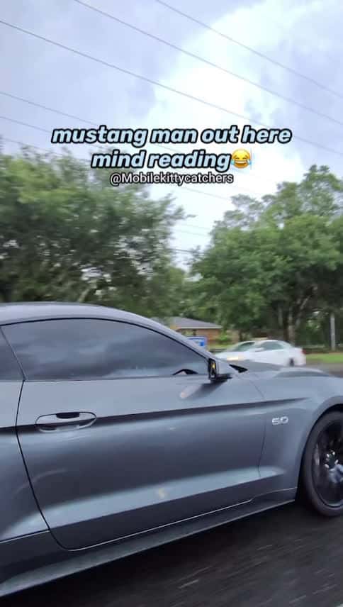 Cover for mustang man💪