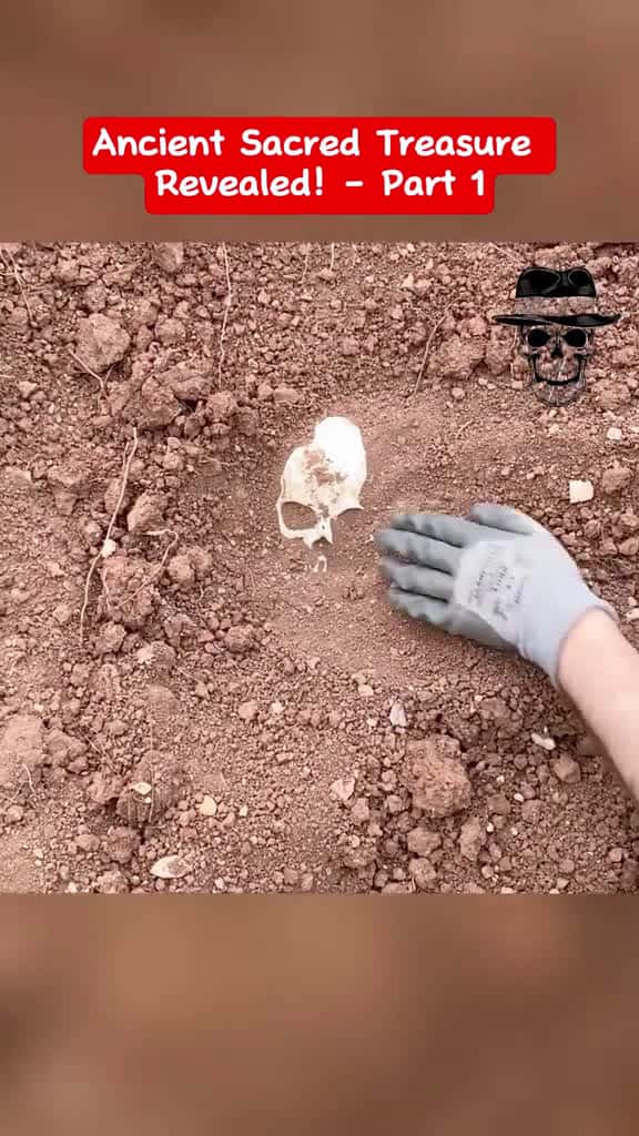 Cover for metaldetector treasure treasurehunt gold findgold foryou 92351 #trending