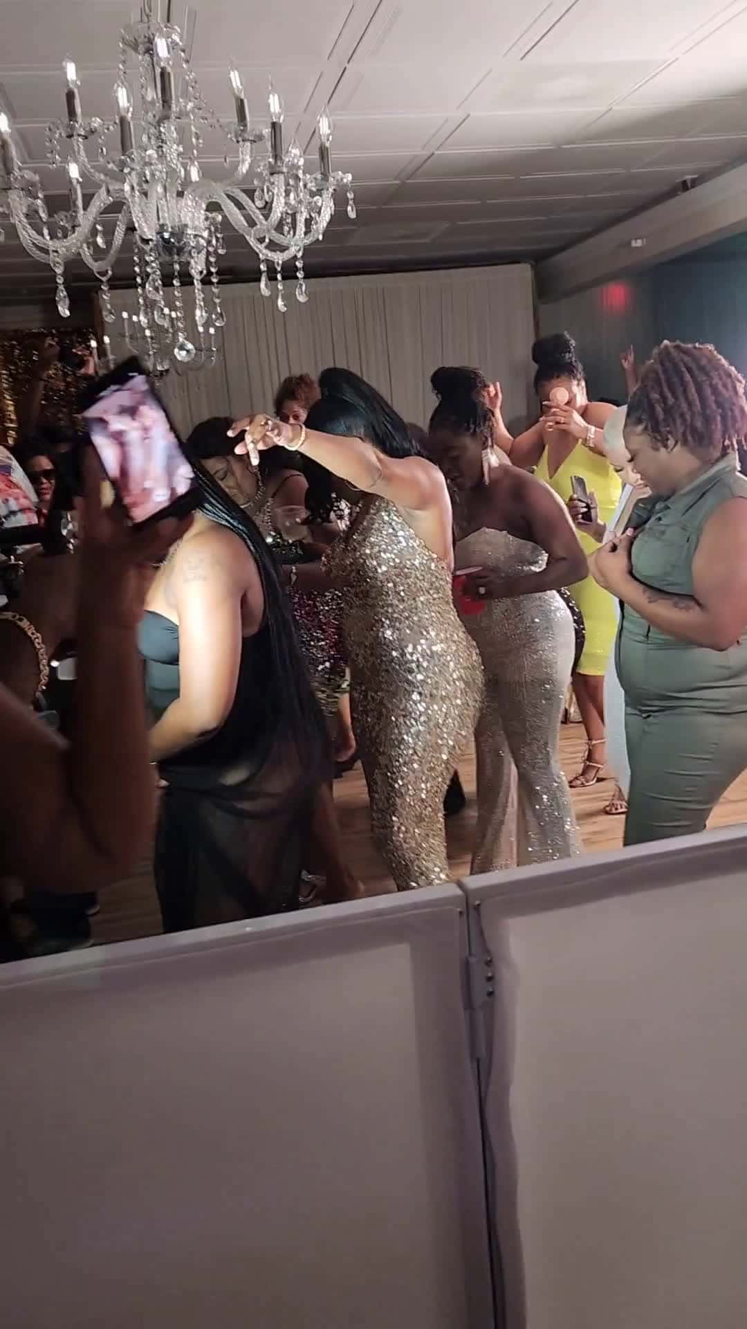 Cover for Ladies Do it....