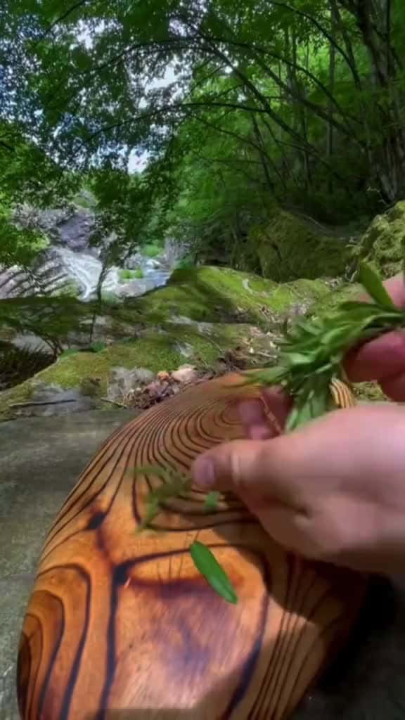 Cover for Norwegian salmon grilled on stone this dish is good for your health try it now cookingasmr 30510 #ilovescoopz