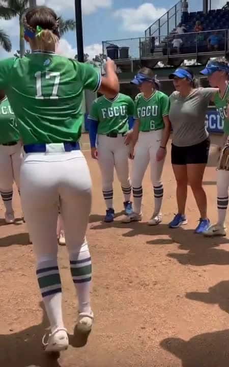 Cover for softball is nice now