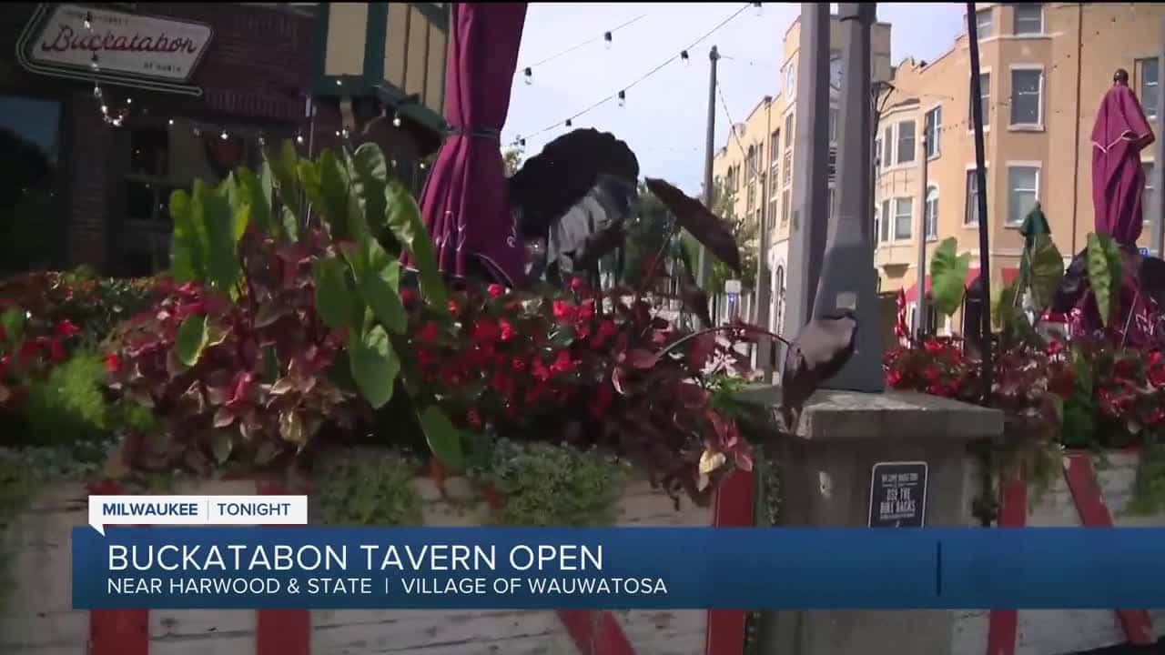 Cover for Celtic MKE holds Irish Fest Summer School