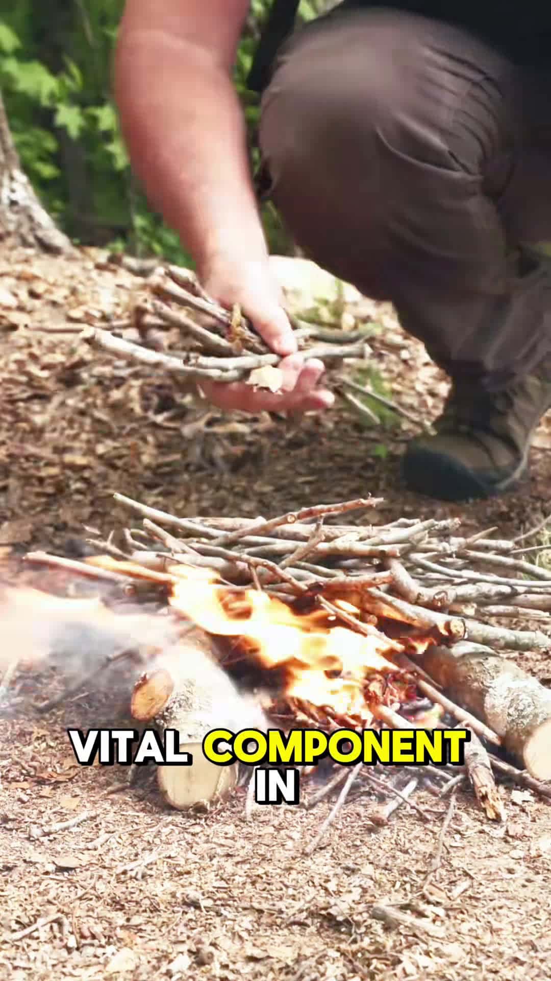 Cover for #survival #skill #outdoors #camping 🔥🔥🏕️