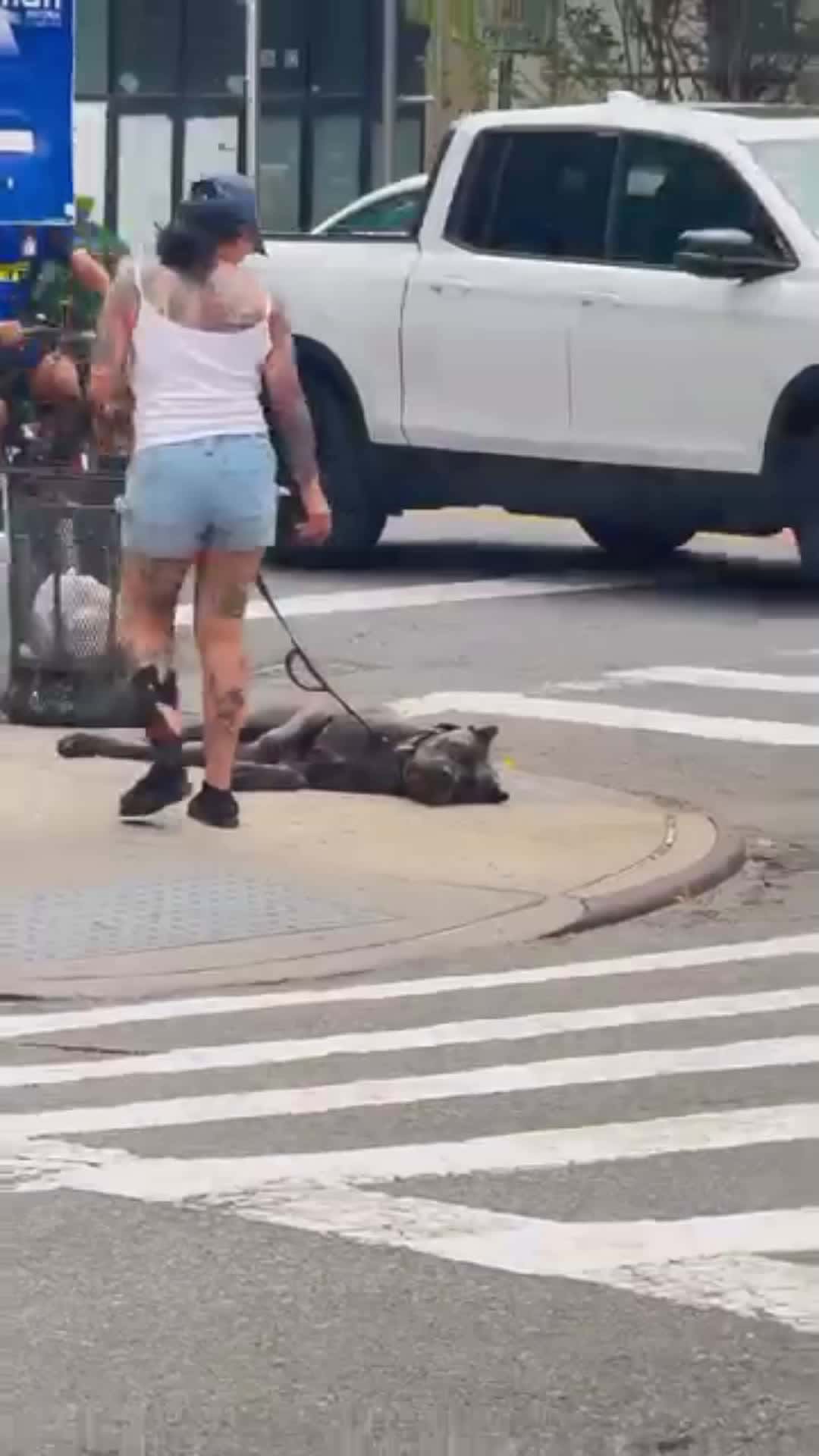 Cover for The Big Dog was like ' Don't leave me mom'