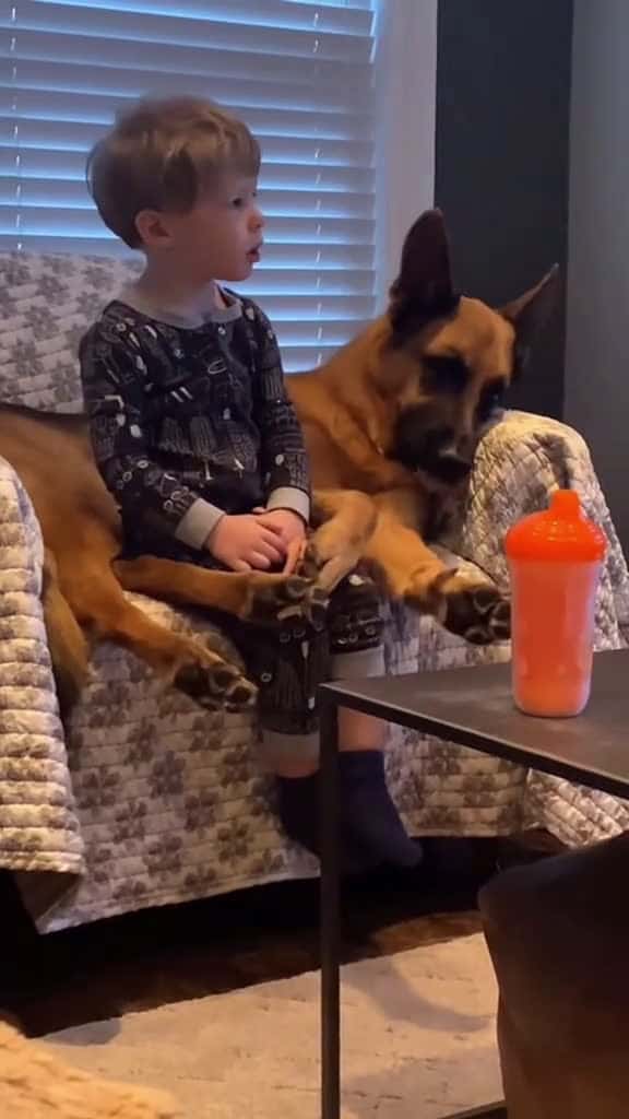 Cover for Best friends dog baby Love pet bestfriend cute dogsoftiktok foryou usa 02990 #america