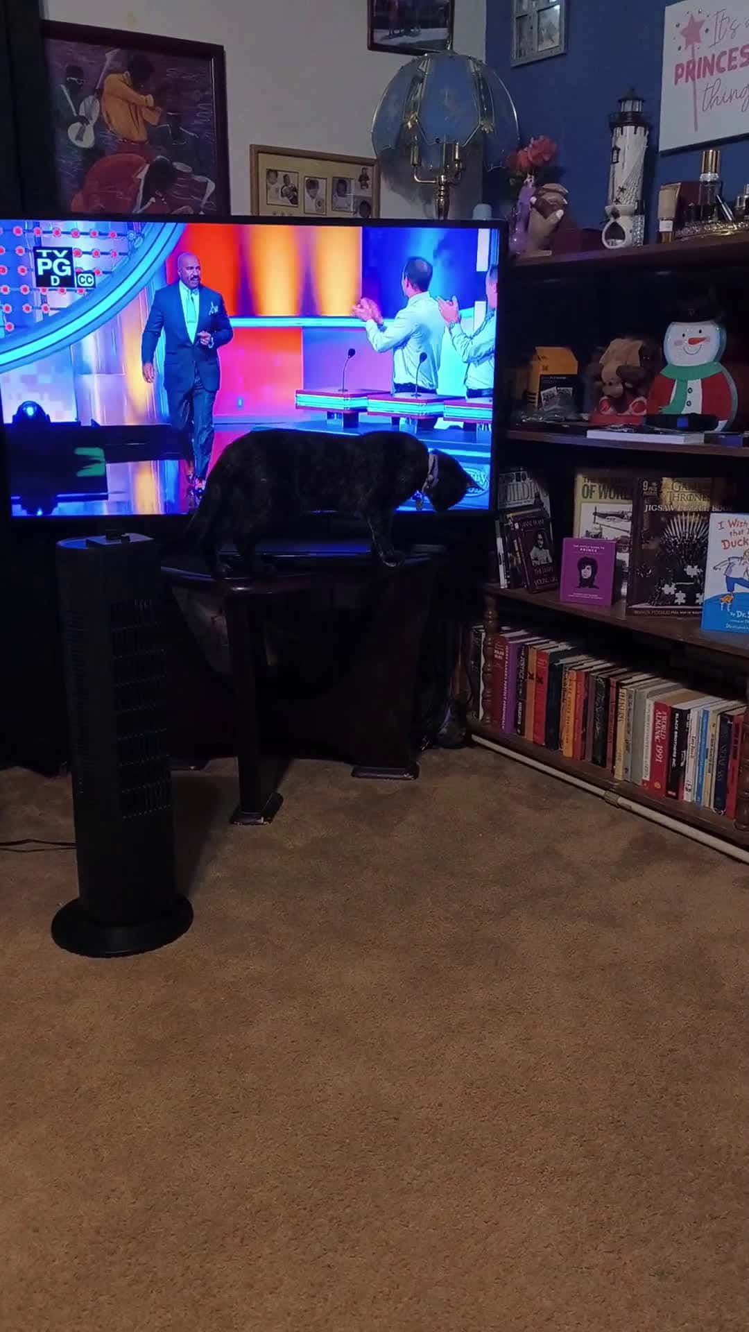 Cover for Guess he wanted to watch TV 2 😂😂