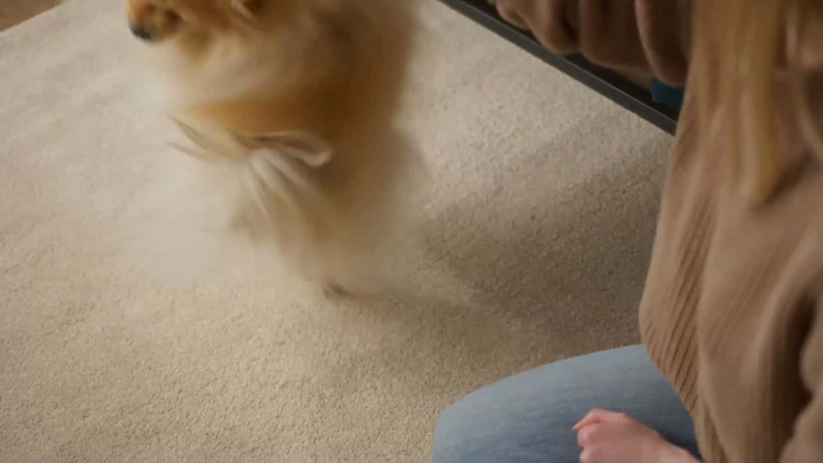 Cover for #UnpopularOpinion**"Training your pup like a pro! 🐾✨ Watch as we turn tail-wagging chaos into disciplined greatness. Who’s got the best-trained dog? Drop a 🦴 if you’re leveling up your pup’s skills! #DogTraining #Puppy #fyp 