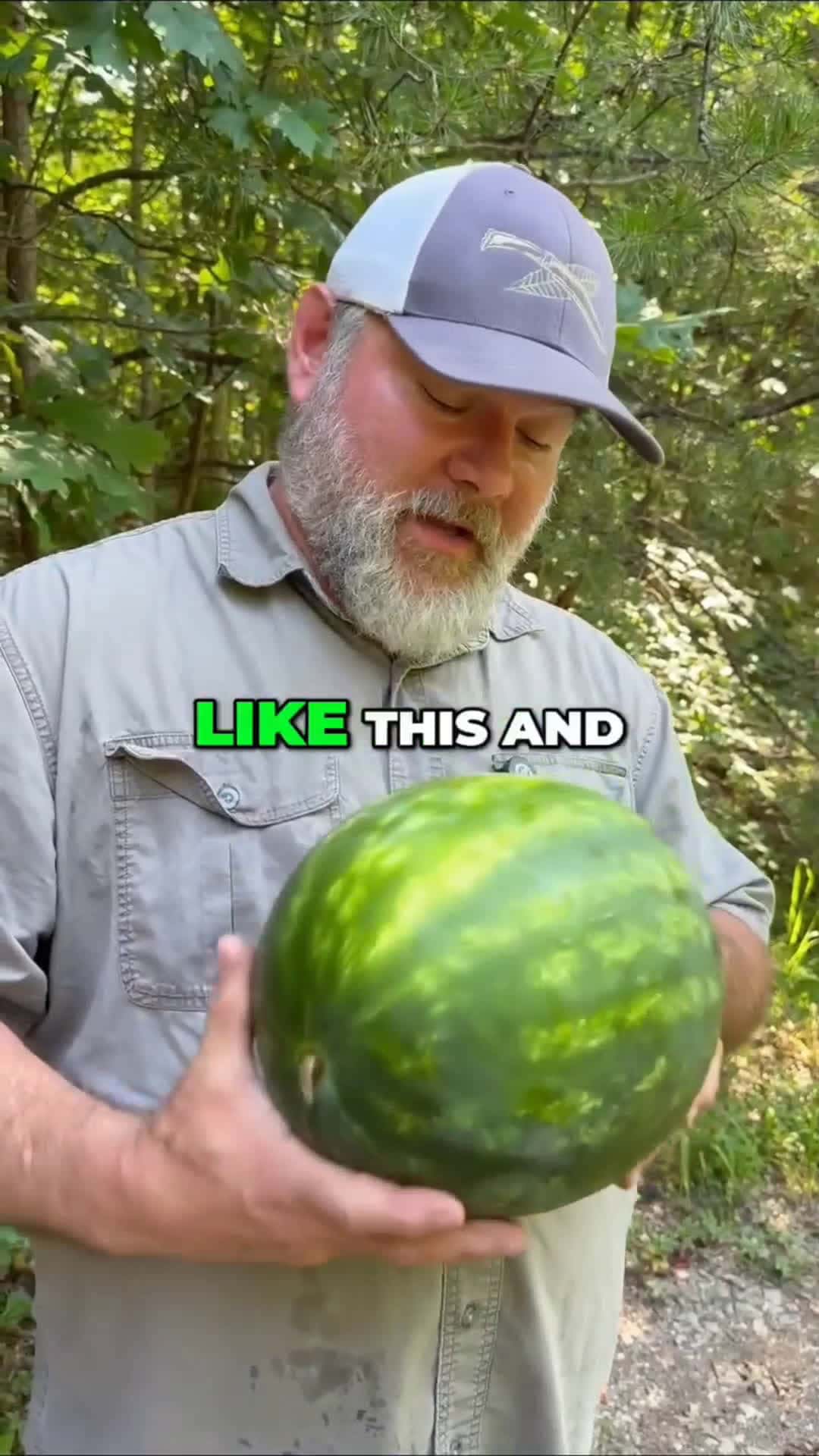 Cover for Do u know how to choose?#watermelon #hacks #fun 