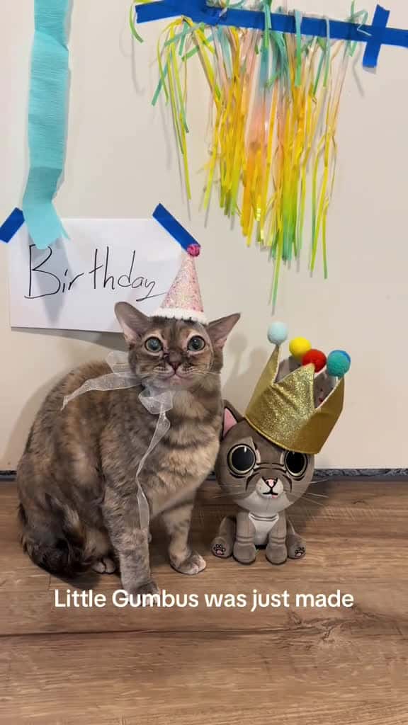Cover for One more day to get a Gumbus plushie! Linked in my bio 🥰 #fyp #foryoupage #Gumbus #rescuekitten #catsoftiktok #kittensoftiktok #rescuecat  created by Gumbus with Danilo Stankovic’s Stories 2