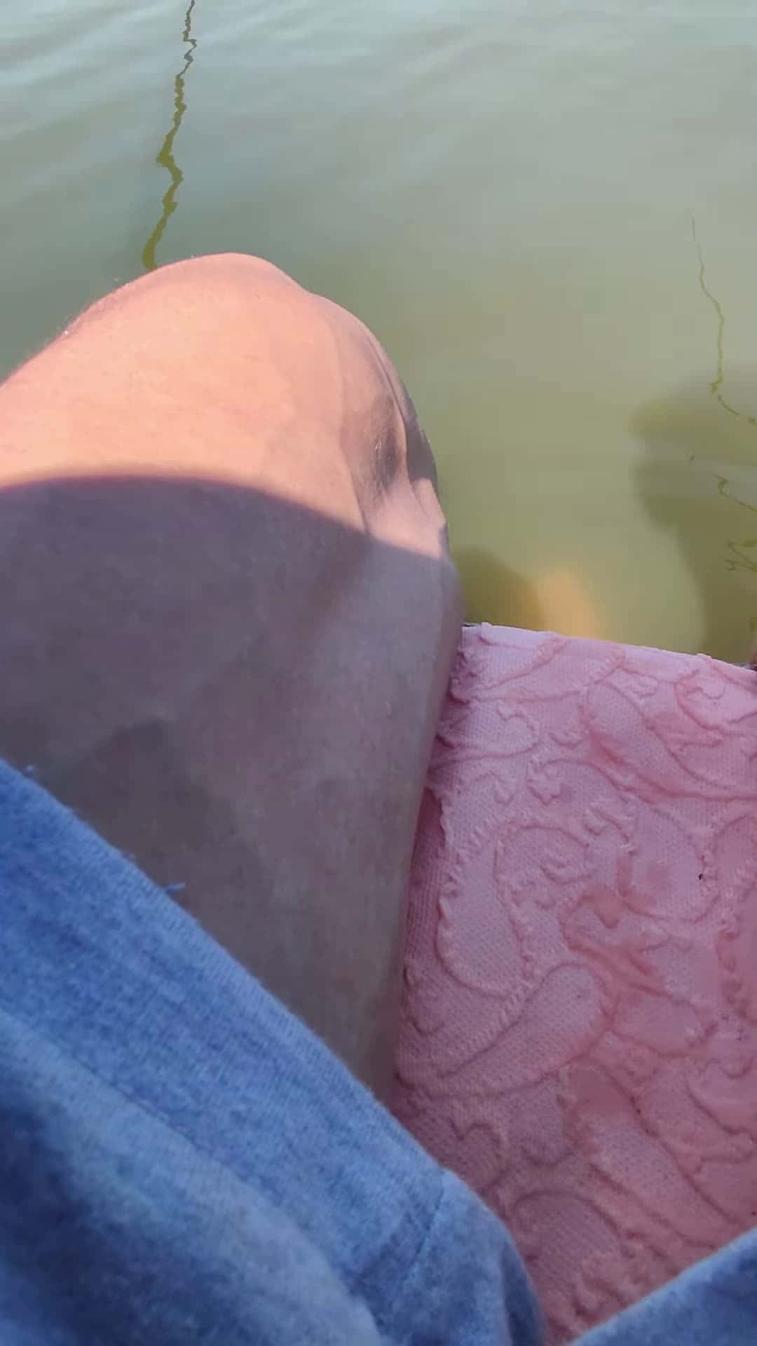 Cover for #FirstVideoChallenge Tiny Baby Bird Seeks Shelter during Fishing Trip.