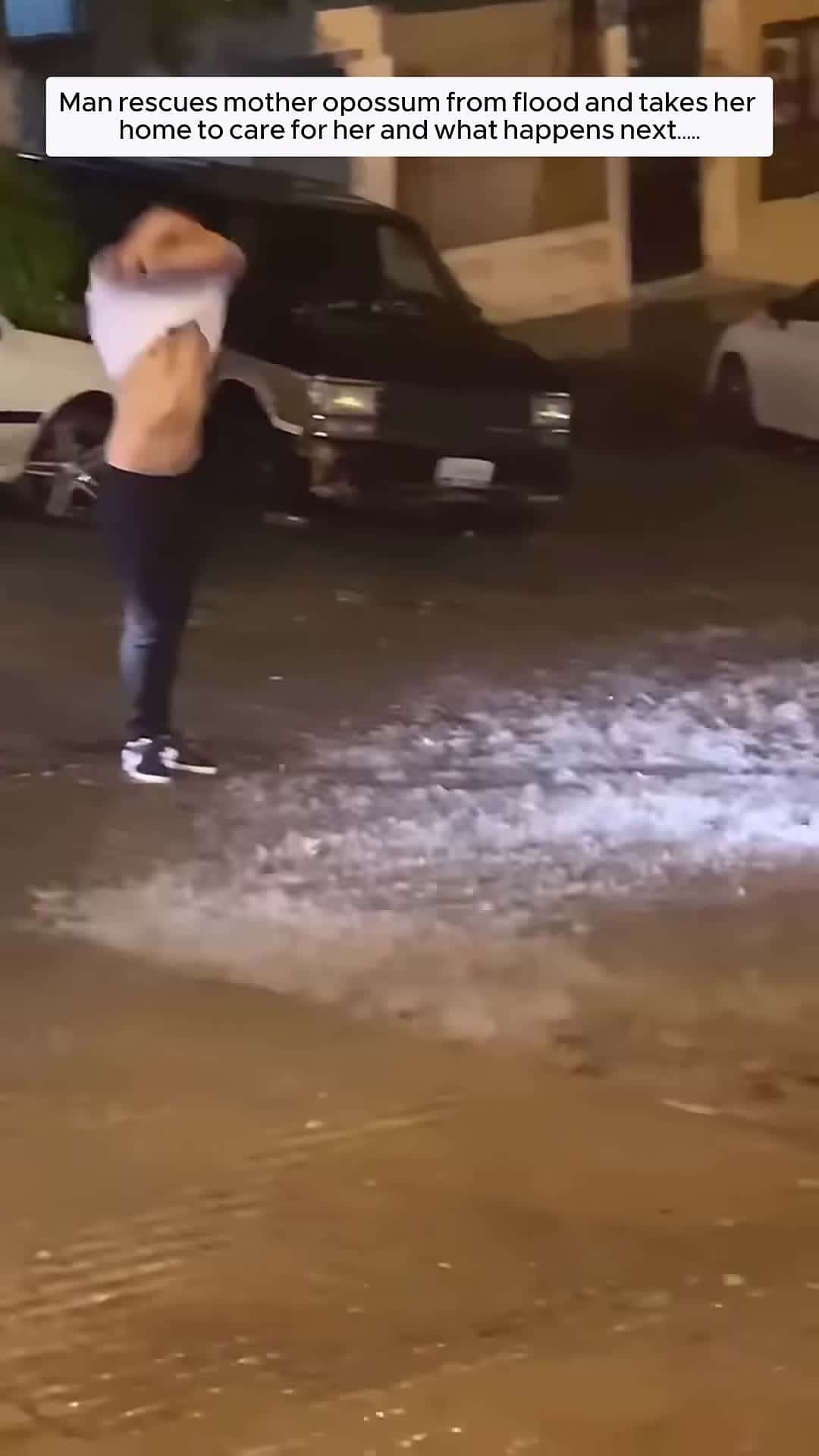 Cover for man rescues mother opossum from flood and takes her home to care for and then