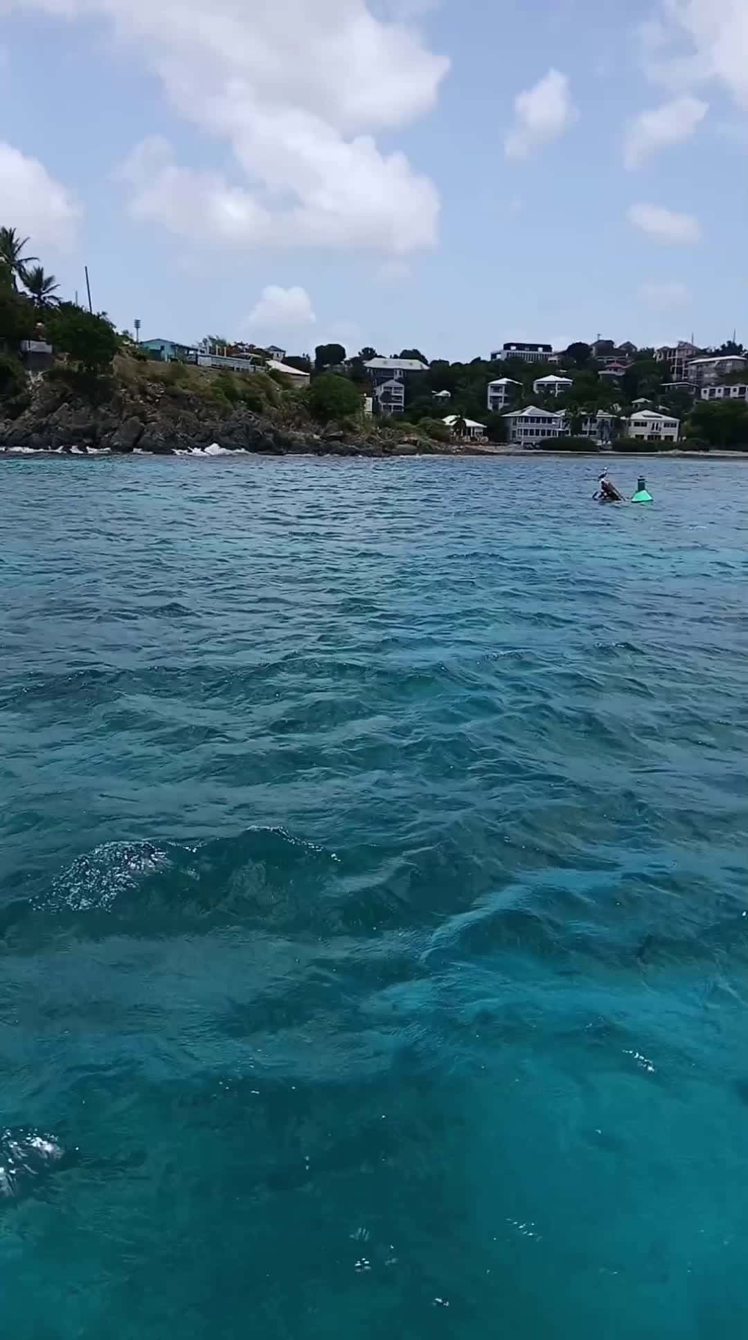 Cover for     barge ride to st john#favmovieclip  #narrator  #barge  #stjohnusvi  #ocean  #viral  #viralvideo  #scoopz  #follow  #god  #islandgirl 