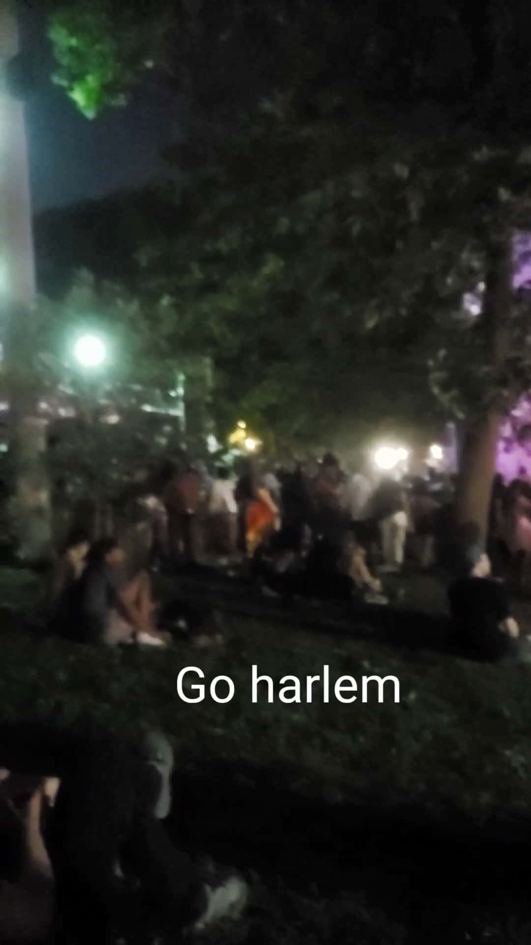 Cover for #Newyorkvibes #harlemworld