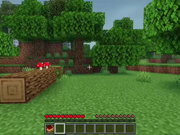 Cover for Can you survive in Minecraft like this? 🗿 #Minecraft #Survival #Epic