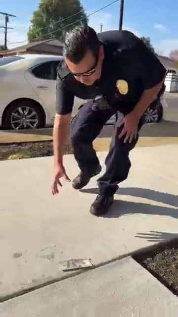 Cover for Pranked Officer...