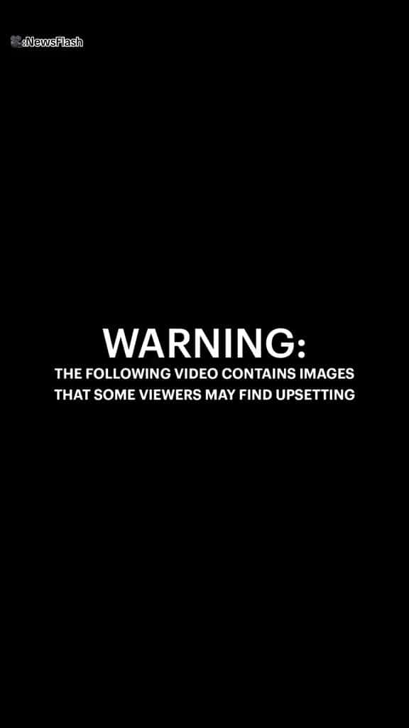Cover for A Russian woman captured the moment she fell to her death during a night out in Tbilisi, Georgia. The 24-year-old was singing along to a Russian boyband’s song ‘For The Last Time’ and dancing with her pal. In the video, Arina G...