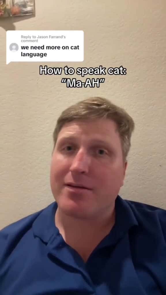 Cover for Ma ah cat language means to come here fyp usa funny funnytiktok funnyvideo funnycat 10698 #shortvideos