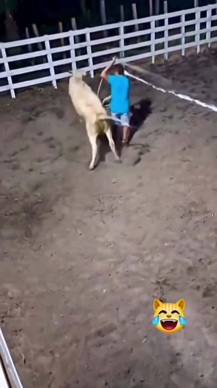 Cover for 😹😹😹    #funny #funnyvideos #fyp #trending #scoopz