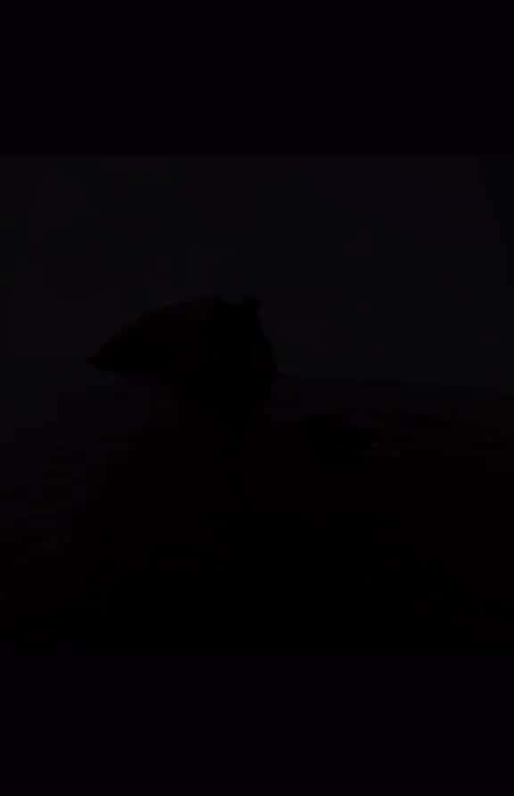Cover for indirectasdirectas indirectas musicaparastatus musica paradedicar 94334 #nicevideo