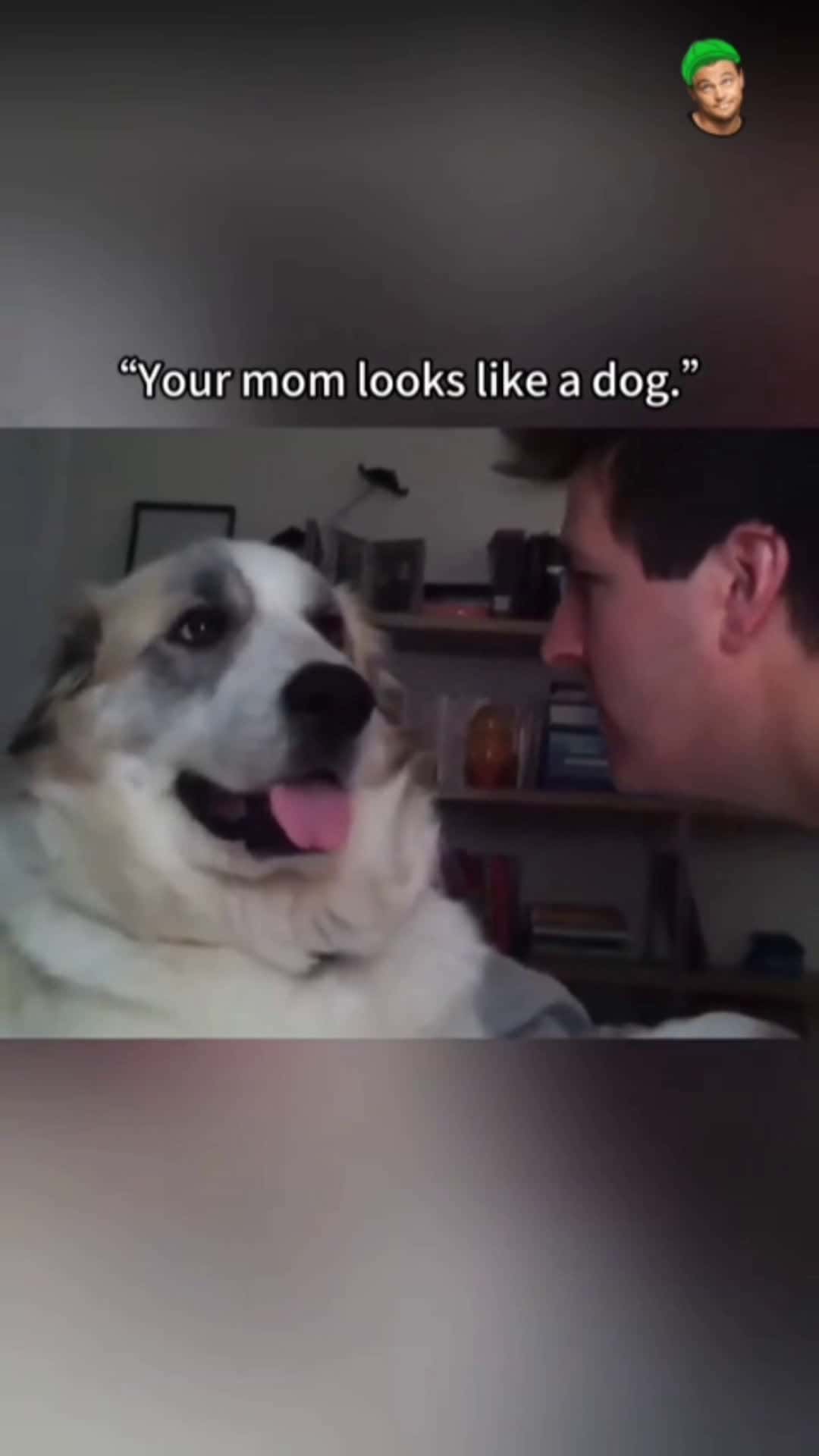 Cover for Happy Monday 😄 #TooFunnyToScroll