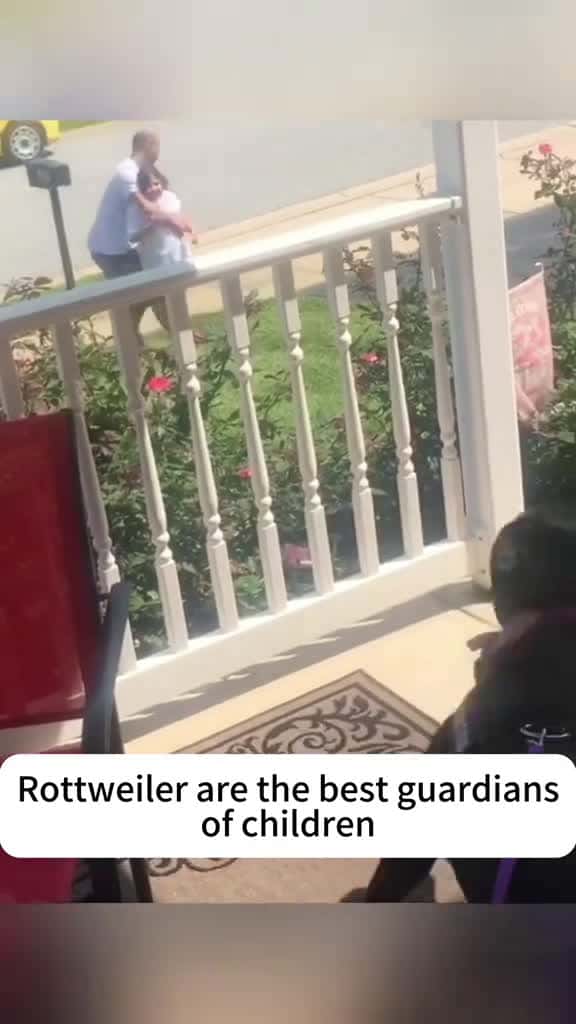 Cover for Best Rottweiler and children dog baby pet bestfriend Love tiktok lovestory dogsoftiktok fo 90957 #trend