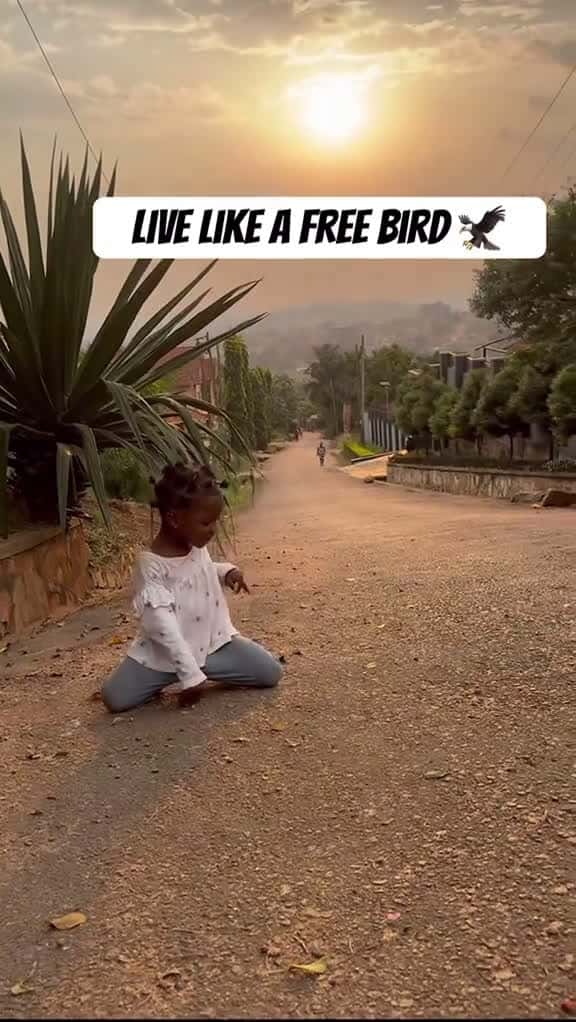 Cover for #livefreely#fypシ゚viral #fy #ustoday #usa        created by Save Them with Save Them’s original sound