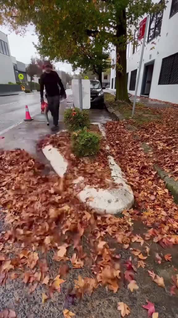Cover for cleaning satisfying massfollowing cleaningasmr gardencleaning 59839 #nicevideo