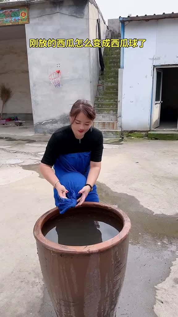Cover for funnyvideos funny cute fyb 24257 #nicevideo