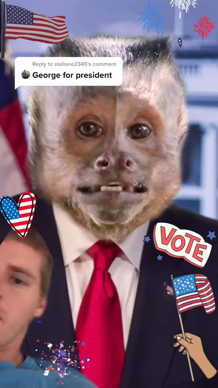 Cover for tallone2345 #greenscreen 😂 GEORGE 2020 CAMPAIGN 🎉 #george #monkey #vote #USA