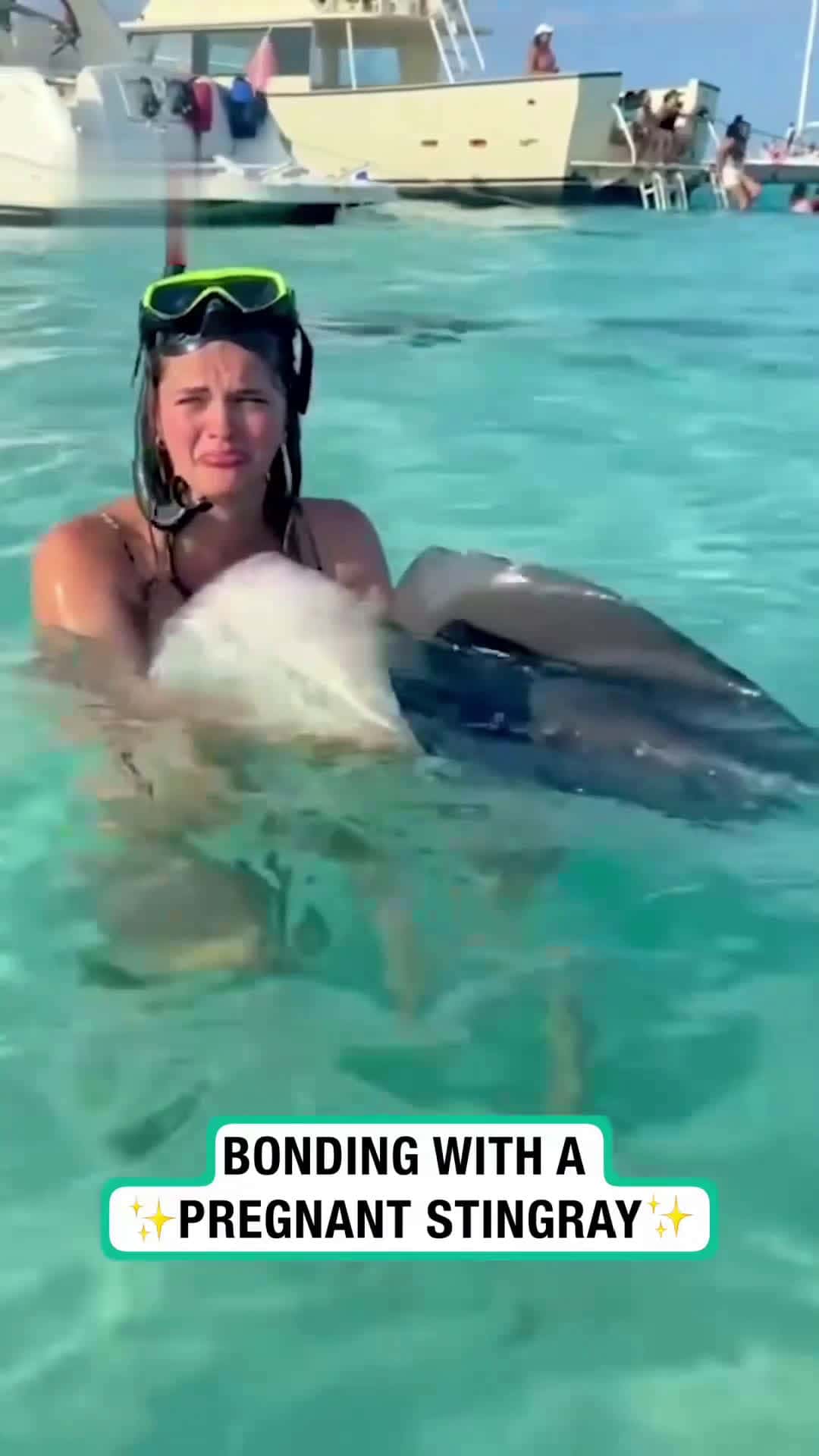 Cover for Bonding With A Pregnant StingrayThey created a special bond❤️ 🥹
