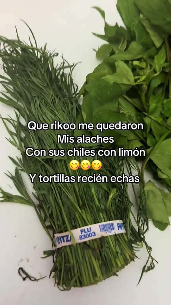 Cover for #deliciosos😋 #unos rikos Aleches 😋😋😋 created by marthaa with José Menher’s sonido original