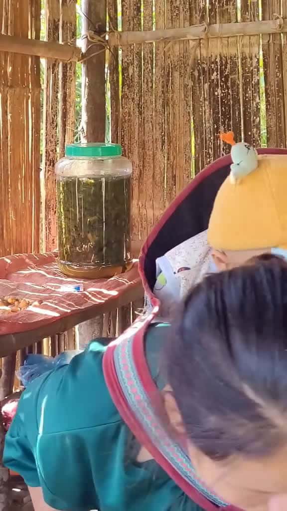 Cover for Boil medicinal water to bathe your son. Dig cassava to make cassava cakes to eat with your 89791 #shortvideos