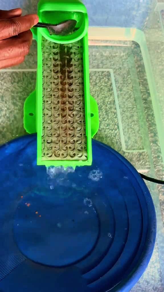 Cover for Cleanup buddy is always helping #gold #goldmining #goldprospecting #goldrush #fyp  created by Mini prospector with Mini prospector’s original sound - Mini prospector