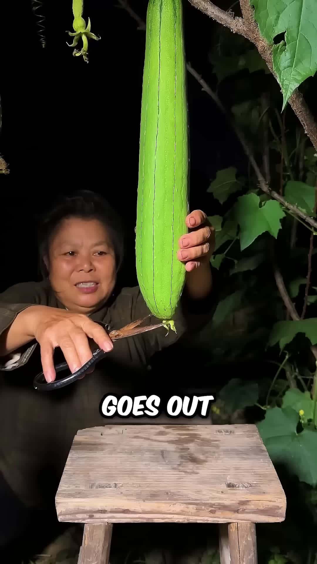 Cover for The Incredible Magical Vegetable of China