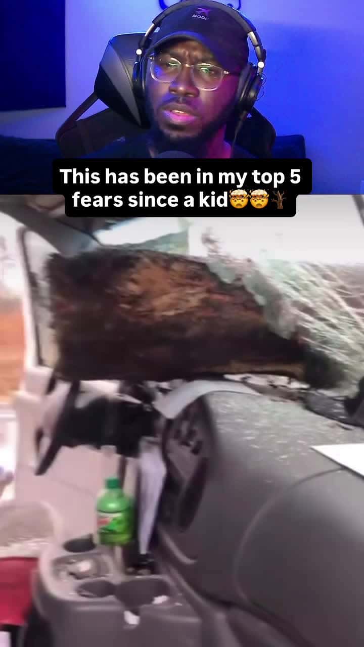 Cover for This has been in my top 5 fears since a kid🤯🤯🪾 #viral #reels #explore