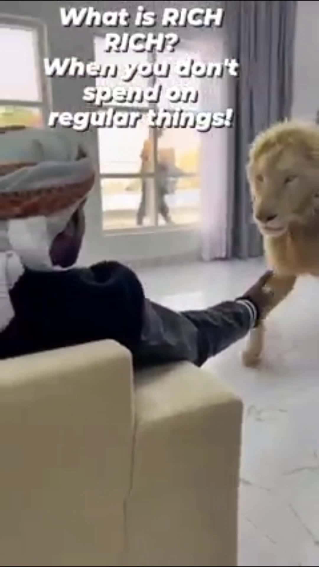 Cover for Richie Rich... #rich  #richlife  #oilmoney #lion  #wildlife 