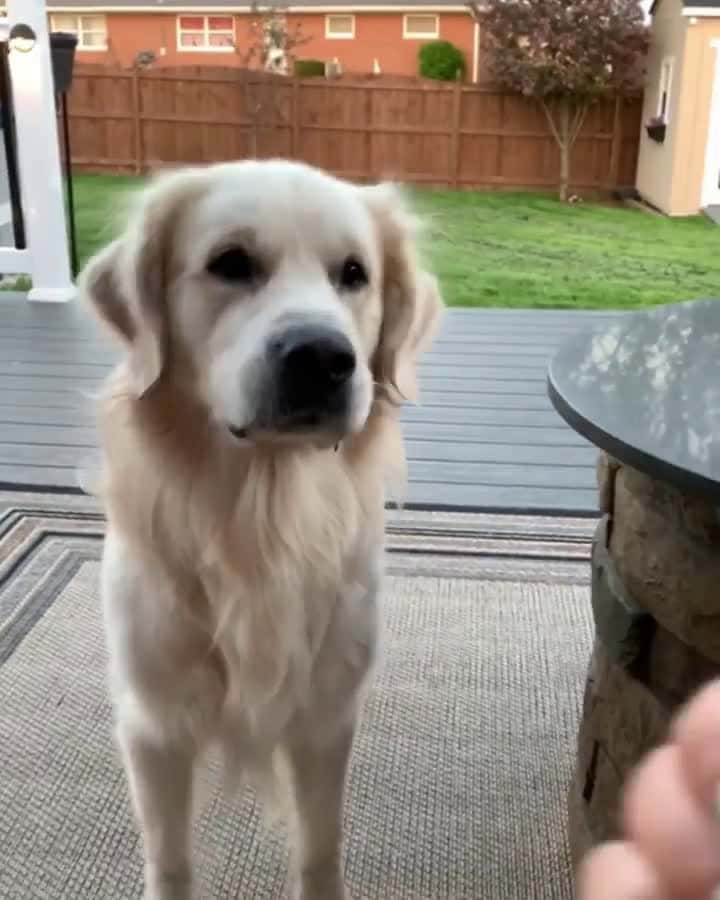 Cover for Dis invisible ball trick is so lame